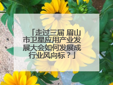 走过三届 眉山市卫星应用产业发展大会如何发展成行业风向标？