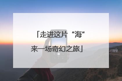 走进这片“海”来一场奇幻之旅