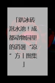 趴冰砖 泡水池！成都动物园里的消暑“凉”方丨图集