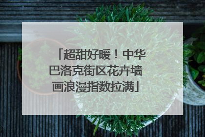超甜好暖！中华巴洛克街区花卉墙画浪漫指数拉满