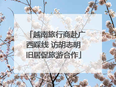 越南旅行商赴广西踩线 访胡志明旧居促旅游合作