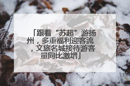 跟着“苏超”游扬州，多重福利迎客流，文旅名城接待游客量同比激增