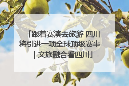 跟着赛演去旅游 四川将引进一项全球顶级赛事｜文旅融合看四川
