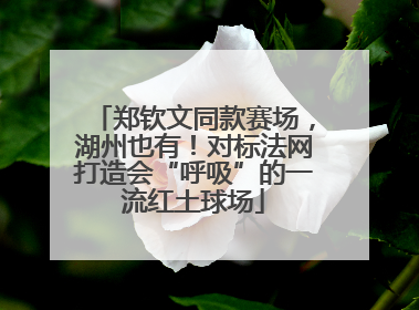 郑钦文同款赛场，湖州也有！对标法网打造会“呼吸”的一流红土球场
