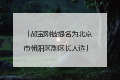郝宝刚被提名为北京市朝阳区副区长人选