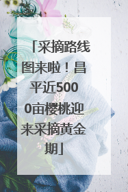 采摘路线图来啦！昌平近5000亩樱桃迎来采摘黄金期