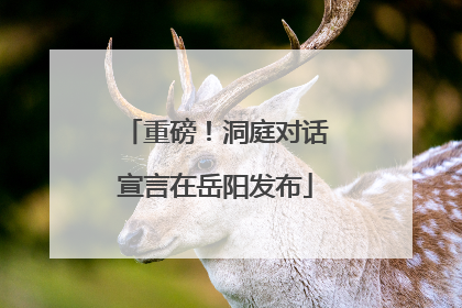 重磅！洞庭对话宣言在岳阳发布