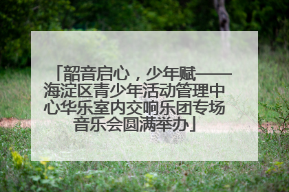 韶音启心，少年赋——海淀区青少年活动管理中心华乐室内交响乐团专场音乐会圆满举办