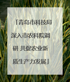 青岛市科技局深入市农科院调研 共促农业新质生产力发展