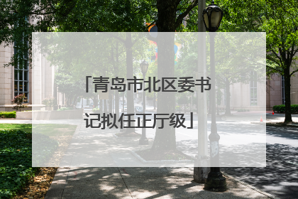 青岛市北区委书记拟任正厅级