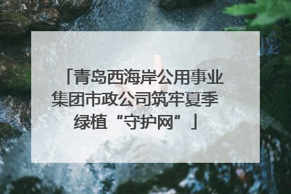 青岛西海岸公用事业集团市政公司筑牢夏季绿植“守护网”