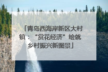 青岛西海岸新区大村镇：“赏花经济”绘就乡村振兴新图景