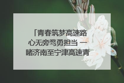 青春筑梦高速路 心无旁骛勇担当 一睹济南至宁津高速青年的young子