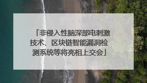 非侵入性脑深部电刺激技术、区块链智能漏洞检测系统等将亮相上交会