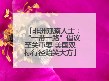 非洲观察人士：“一带一路”倡议至关重要 美国双标行径贻笑大方