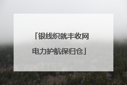 银线织就丰收网 电力护航保归仓