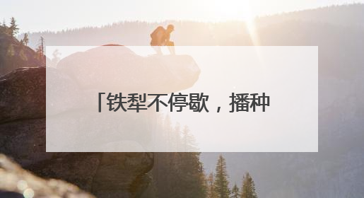 铁犁不停歇，播种新希望——山东“三夏”抢收抢种忙