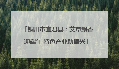 铜川市宜君县：艾草飘香迎端午 特色产业助振兴