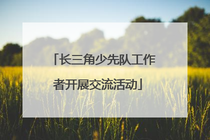 长三角少先队工作者开展交流活动
