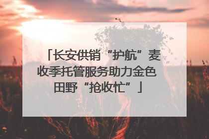 长安供销“护航”麦收季托管服务助力金色田野“抢收忙”