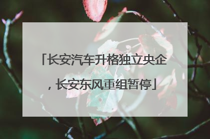 长安汽车升格独立央企，长安东风重组暂停