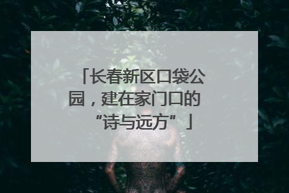 长春新区口袋公园，建在家门口的“诗与远方”