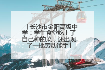 长沙市金阳高级中学：学生食堂吃上了自己种的菜，还出现了一批劳动能手