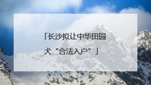 长沙拟让中华田园犬“合法入户”
