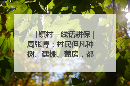 镇村一线话耕保｜周张博：村民但凡种树、建棚、盖房，都要向街道报批