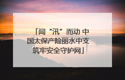闻“汛”而动 中国太保产险丽水中支筑牢安全守护网