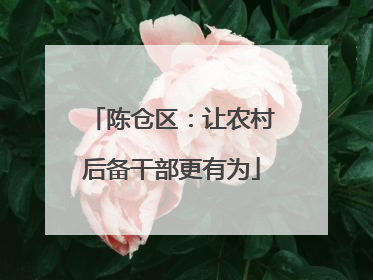陈仓区：让农村后备干部更有为