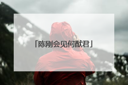 陈刚会见何猷君