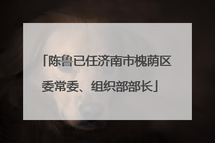 陈鲁已任济南市槐荫区委常委、组织部部长