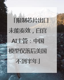 限制芯片出口未能奏效，白宫AI主管：中国模型仅落后美国不到半年