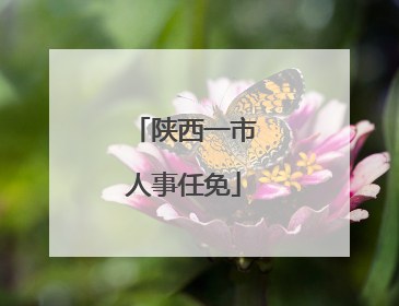陕西一市人事任免