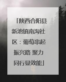 陕西合阳县新池镇南沟社区：葡萄串起振兴路 聚力同行显效能