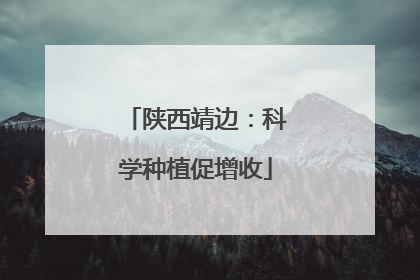 陕西靖边：科学种植促增收