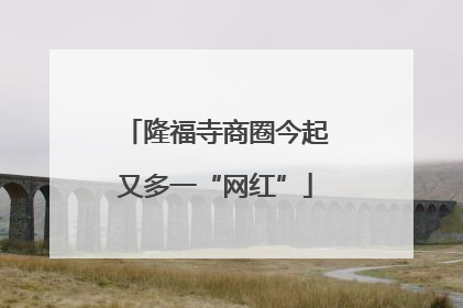 隆福寺商圈今起又多一“网红”