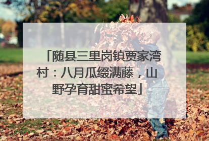 随县三里岗镇贾家湾村：八月瓜缀满藤，山野孕育甜蜜希望