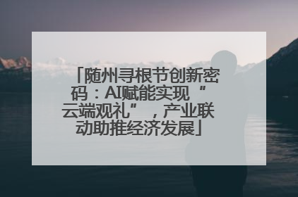 随州寻根节创新密码：AI赋能实现“云端观礼”，产业联动助推经济发展