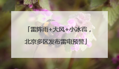 雷阵雨+大风+小冰雹，北京多区发布雷电预警