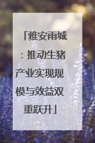 雅安雨城：推动生猪产业实现规模与效益双重跃升