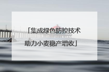 集成绿色防控技术助力小麦稳产增收