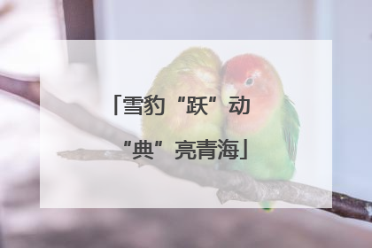 雪豹“跃”动 “典”亮青海