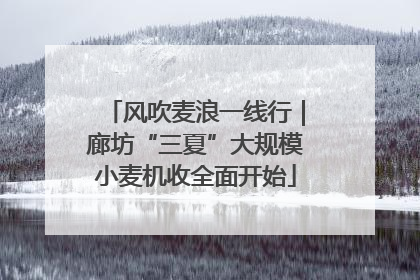 风吹麦浪一线行｜廊坊“三夏”大规模小麦机收全面开始