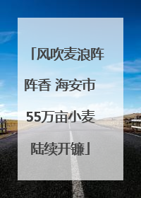 风吹麦浪阵阵香 海安市55万亩小麦陆续开镰