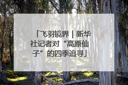 飞羽镜界｜新华社记者对“高原仙子”的四季追寻