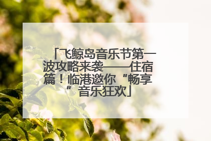 飞鲸岛音乐节第一波攻略来袭——住宿篇！临港邀你“畅享”音乐狂欢