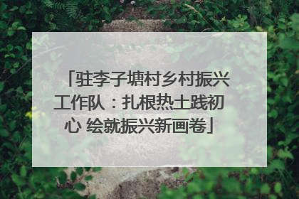驻李子塘村乡村振兴工作队：扎根热土践初心 绘就振兴新画卷