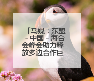 马媒：东盟－中国－海合会峰会助力释放多边合作巨大潜能